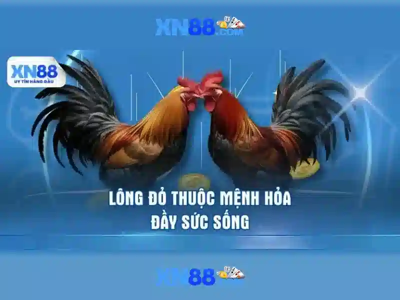 xn88: Gioi thieu ve san choi online, an toan va tien ich