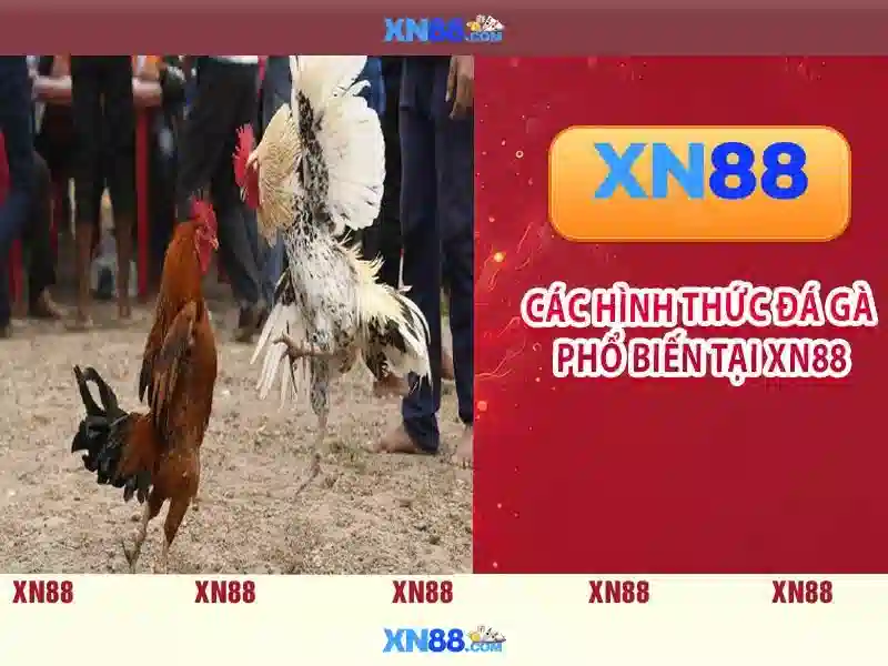XN88: Nền tảng cá cược trực tuyến và những điều cần biết