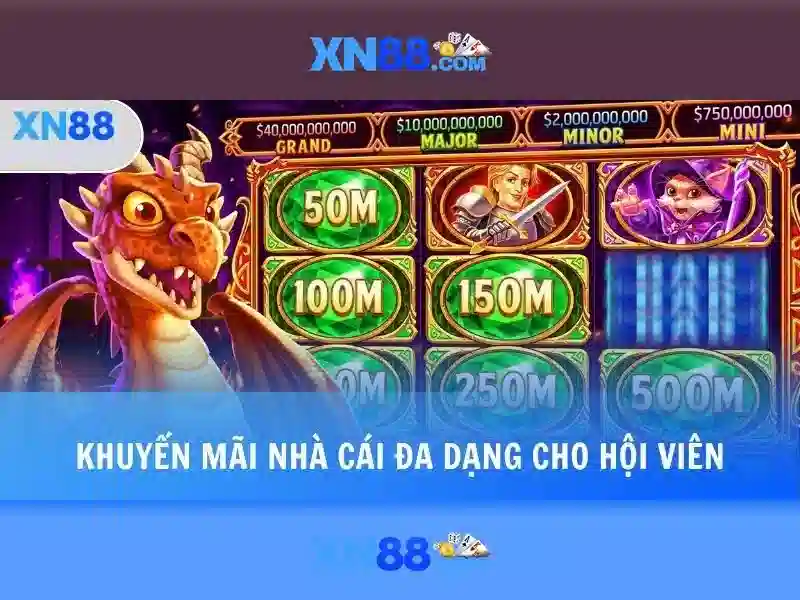 An toàn và quản lý rủi ro
