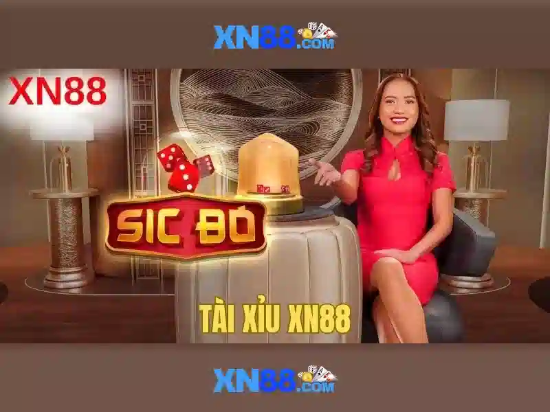 An toàn và trách nhiệm khi tham gia