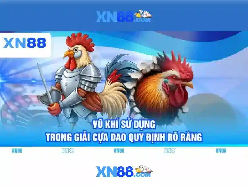 Giới thiệu về xn88