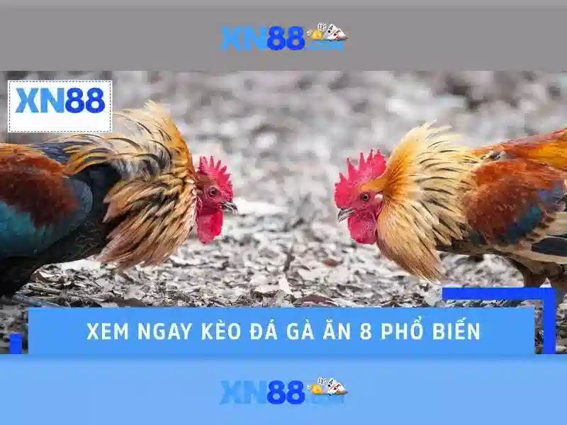 xn88: Giới thiệu nền tảng game trực tuyến