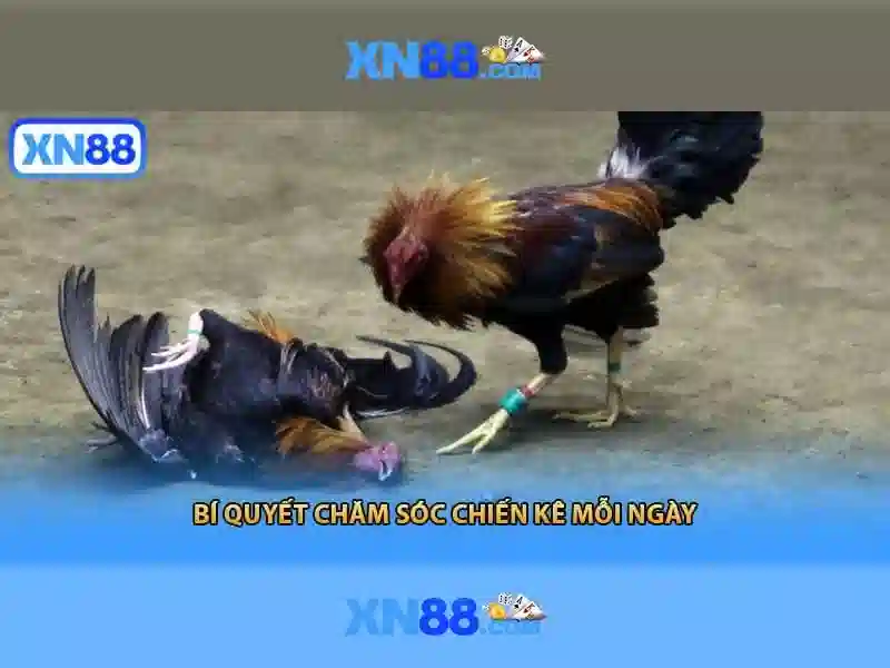 Khuyến mãi và cách đăng ký