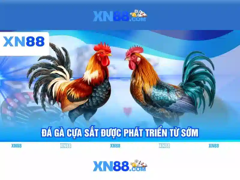 XN88: Nền tảng trò chơi trực tuyến và casino an toàn