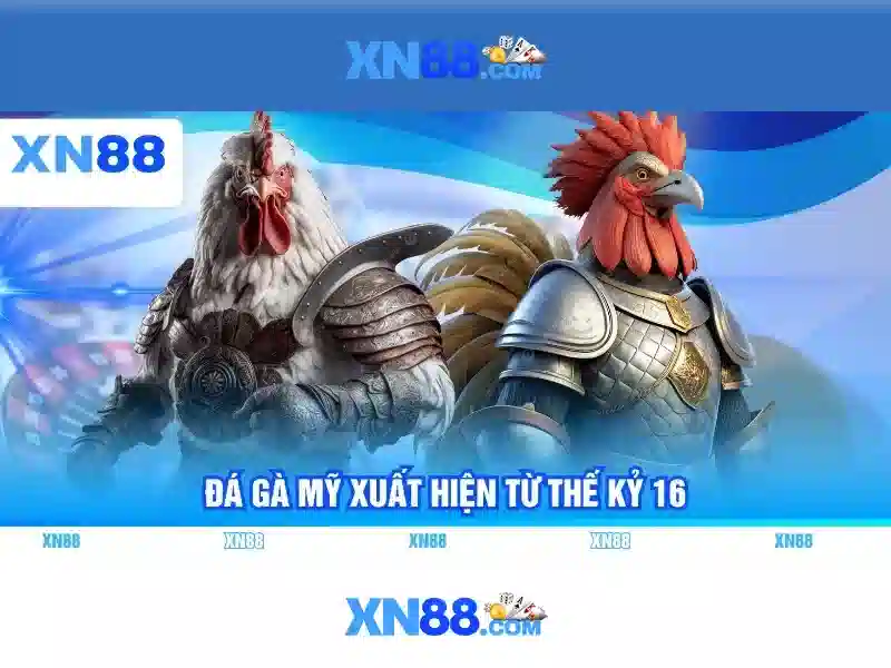 Tính năng nổi bật của XN88
