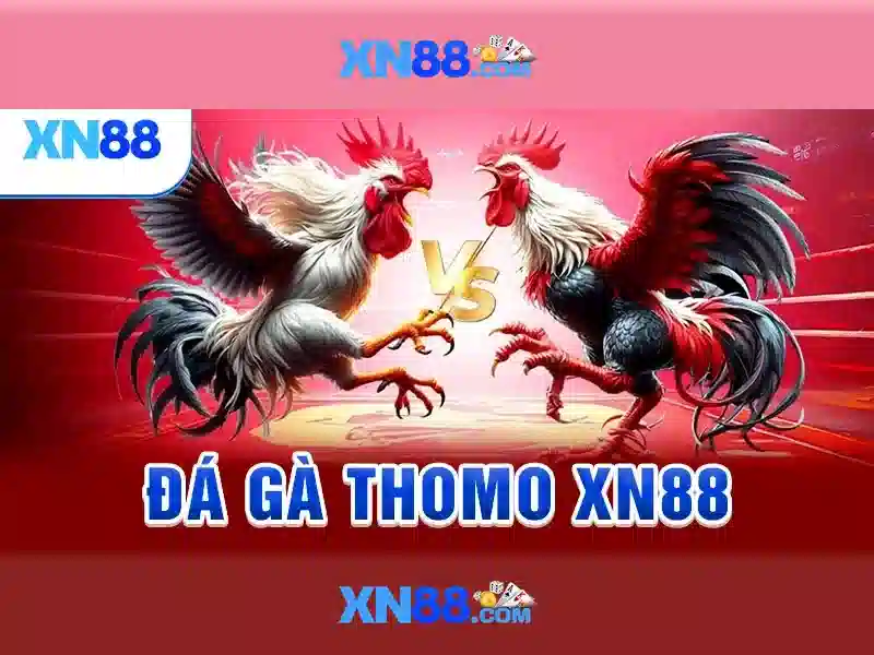 Xn88 là gì?