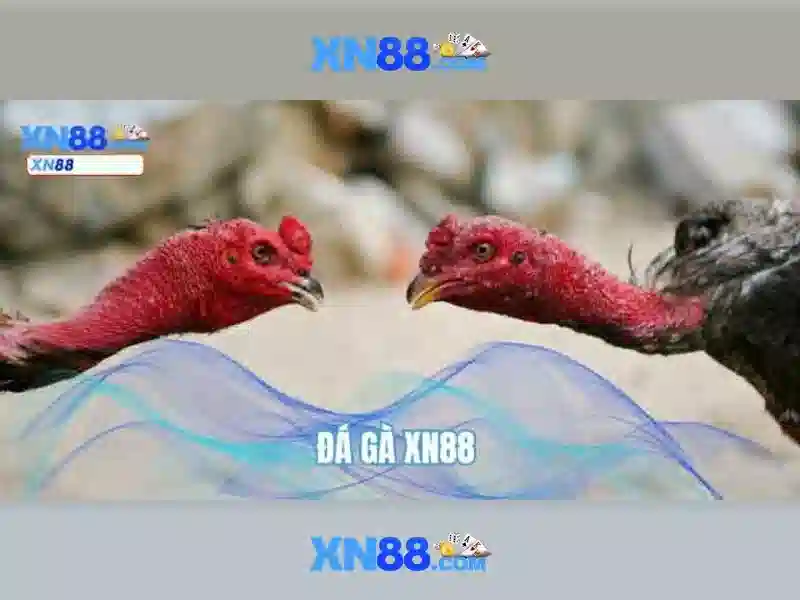 Đa dạng trò chơi và trải nghiệm người dùng