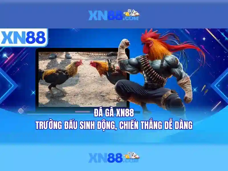 Các dịch vụ chính