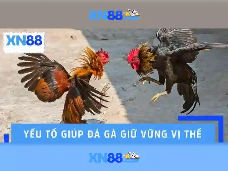 Các sản phẩm chủ đạo tại Xn88