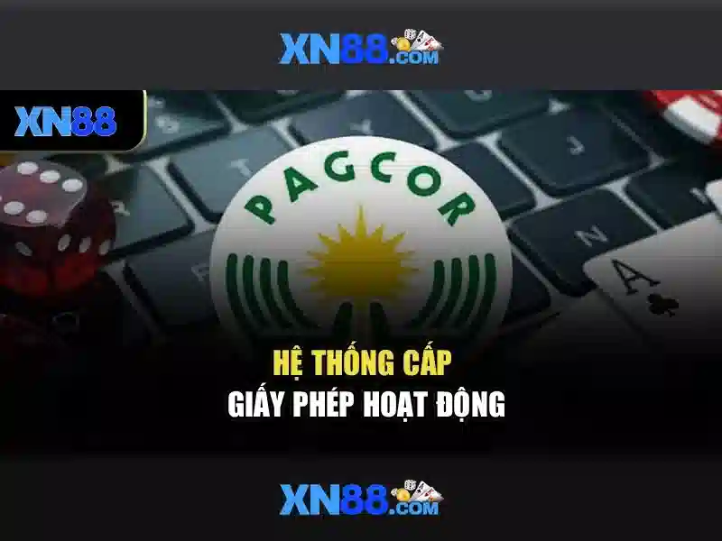 Giới thiệu về xn88