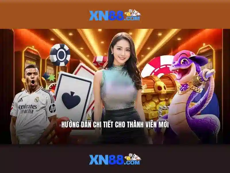Biểu đồ quản lý rủi ro tại xn88