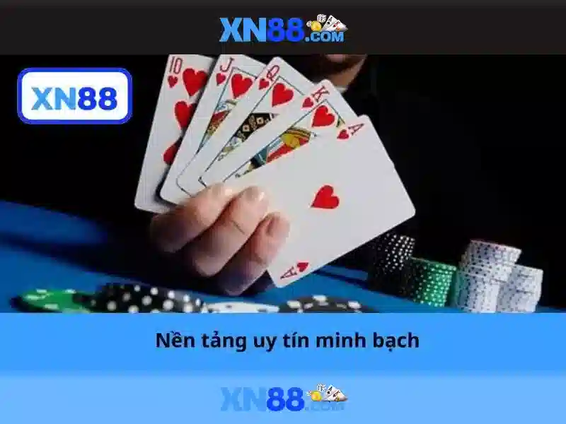 Nền tảng và giao diện người dùng