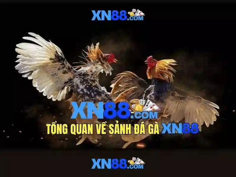 xn88 là gì và những điều cần biết về nền tảng giải trí trực tuyến