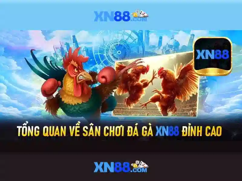 Giới thiệu về Xn88