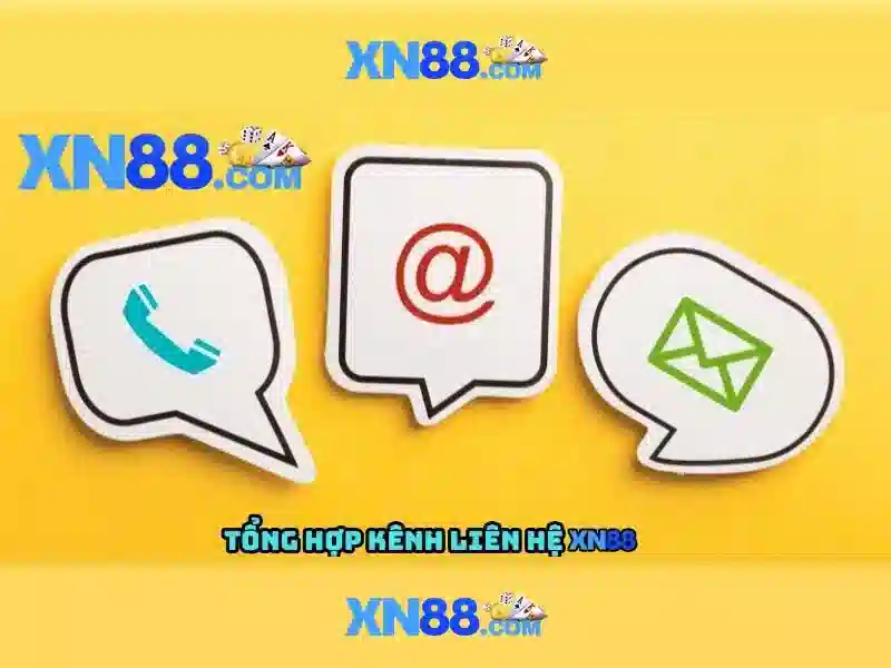 Lĩnh vực hoạt động