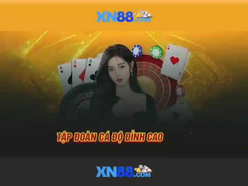 Cách hoạt động và tính năng
