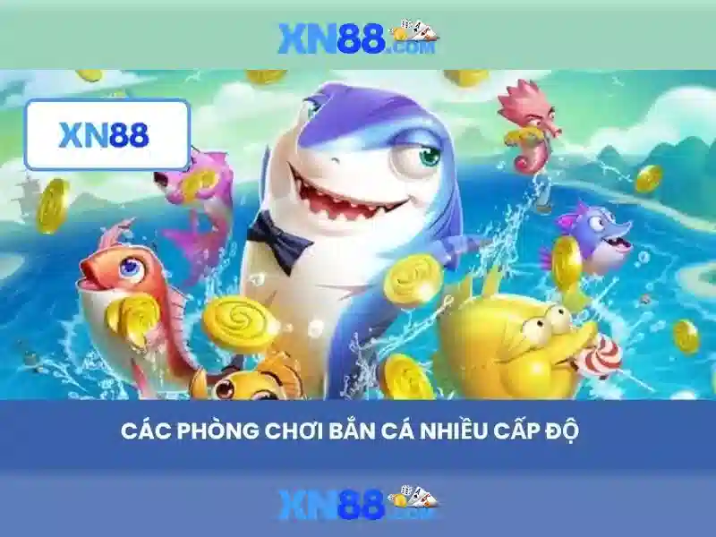 Cảm nhận người dùng và giao diện