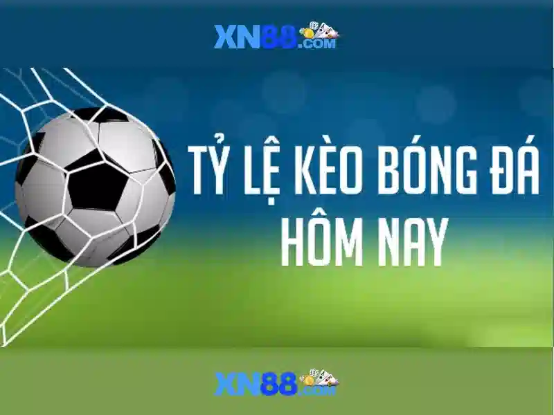 Giới thiệu về xn88
