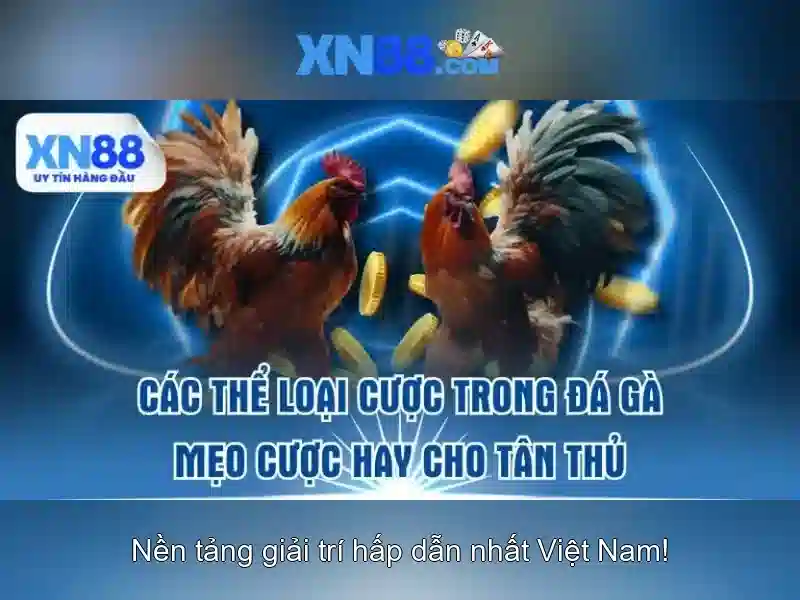 Mẹo và chiến lược chơi hiệu quả