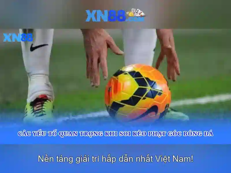 xn88 - một nền tảng số đáng chú ý