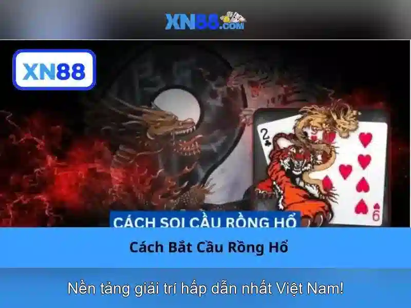 Giới thiệu về XN88