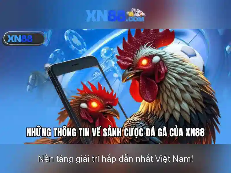 Lịch sử và phát triển