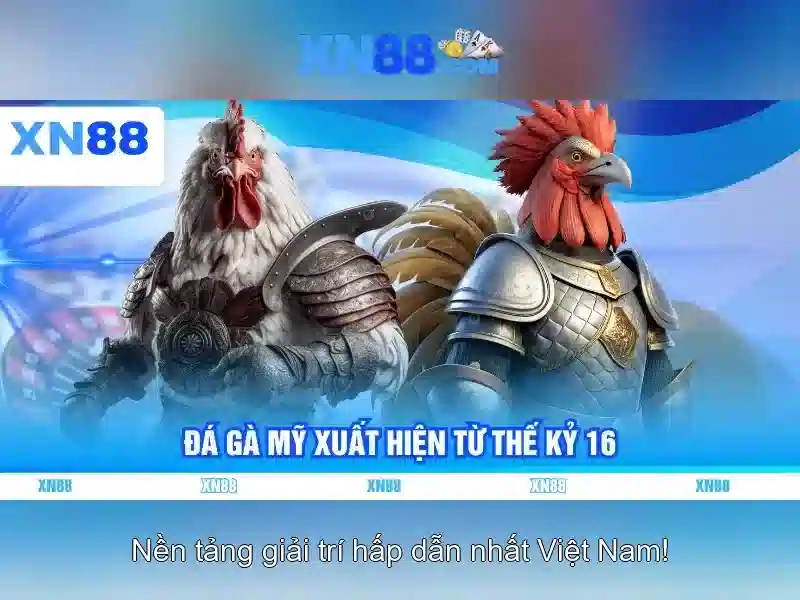 xn88: Giới thiệu và những điểm cần biết