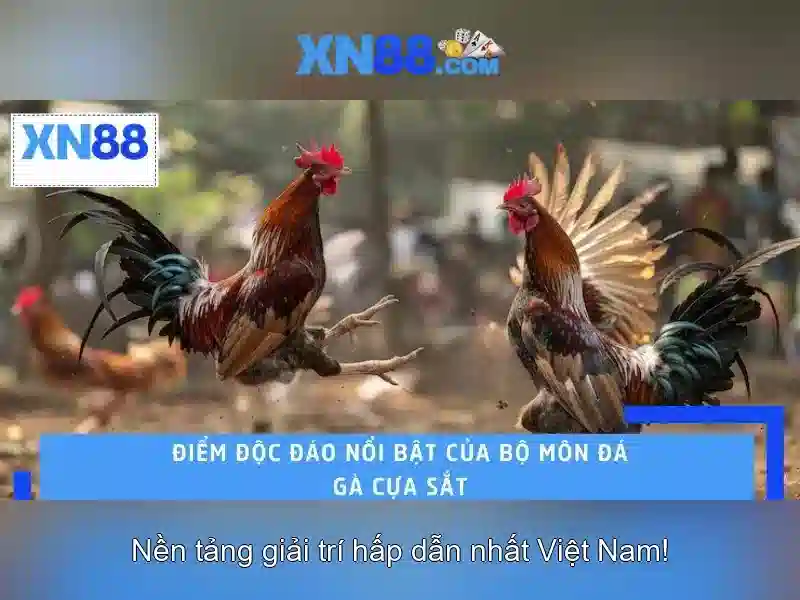 Dịch vụ và sản phẩm