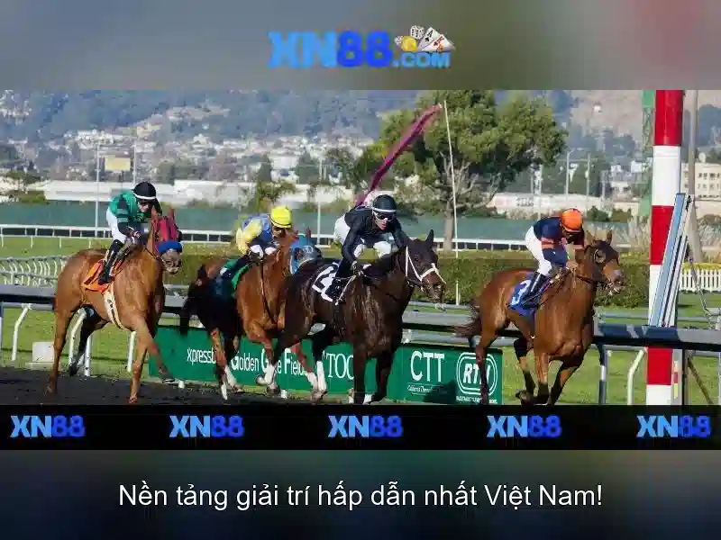 Sứ mệnh và cam kết với người dùng