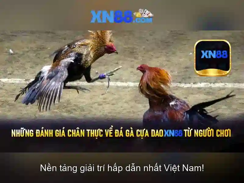 xn88: Khám phá nền tảng và trải nghiệm chơi game trực tuyến