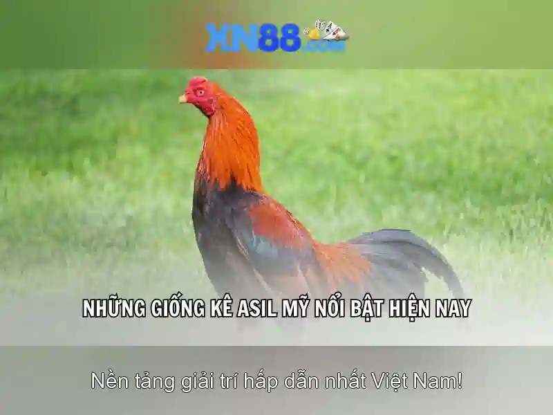 An toàn và thanh toán