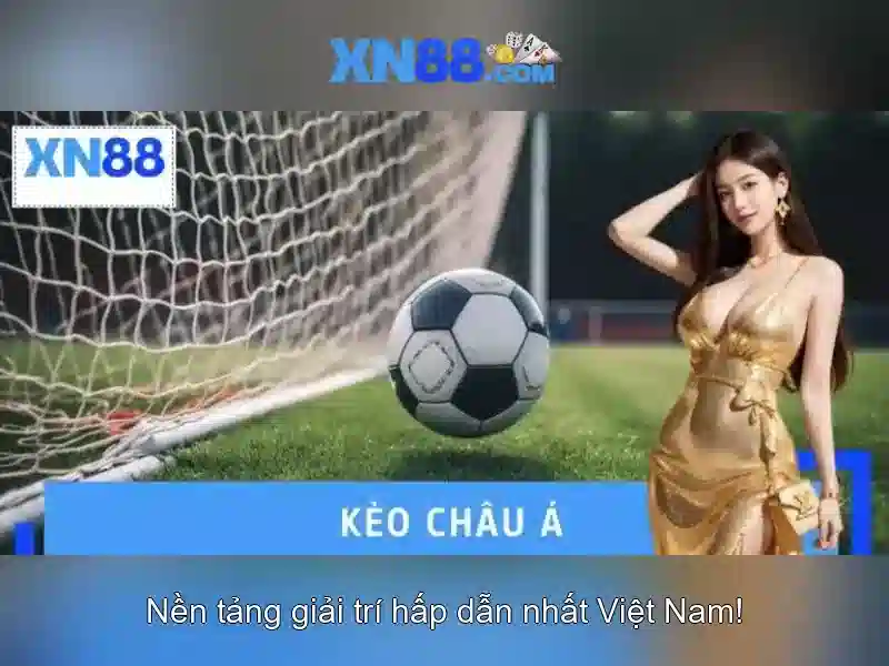 Kết luận về xn88