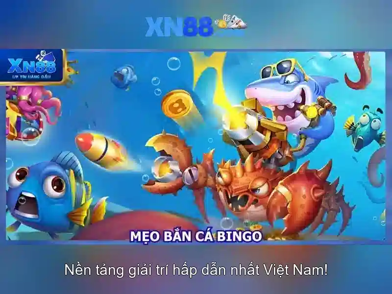 Nền tảng và dịch vụ