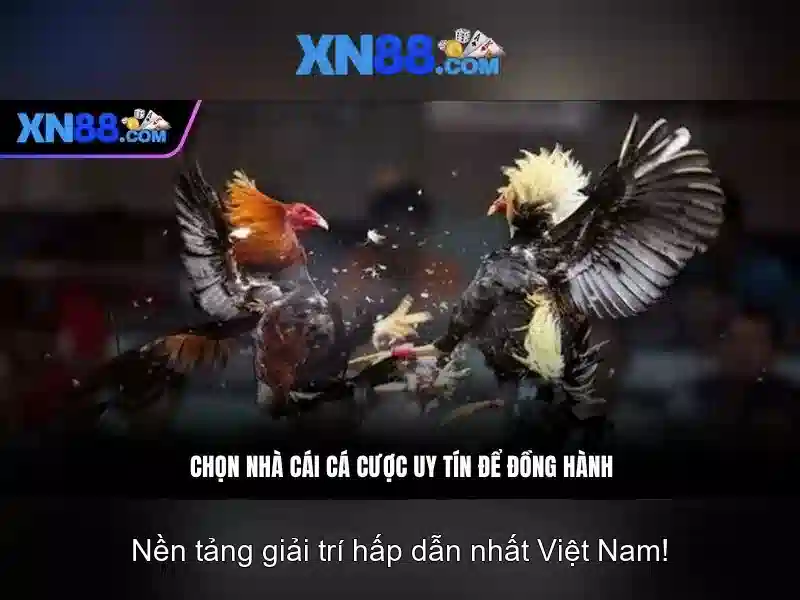xn88: Gioi thieu nen tang tro choi truc tuyen