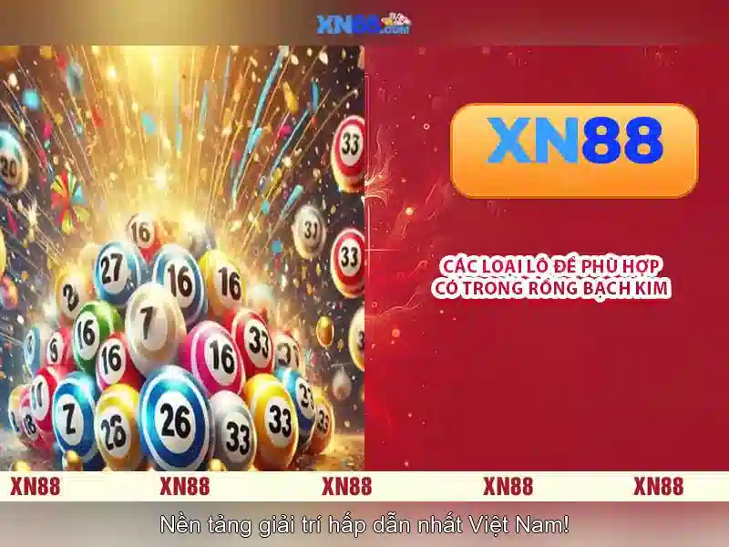 Kết luận và tiềm năng tương lai của XN88