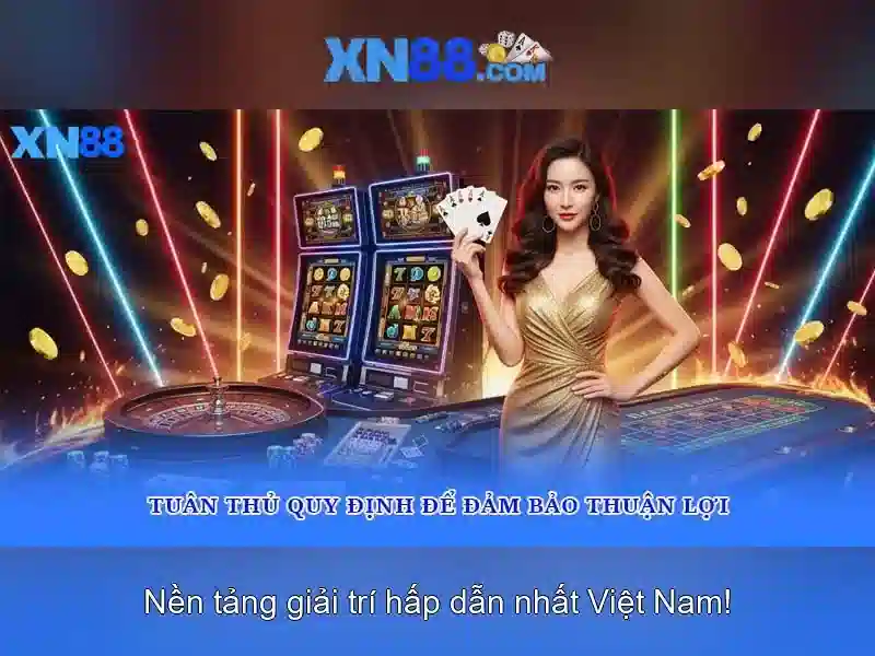 Hỗ trợ người dùng và cộng đồng
