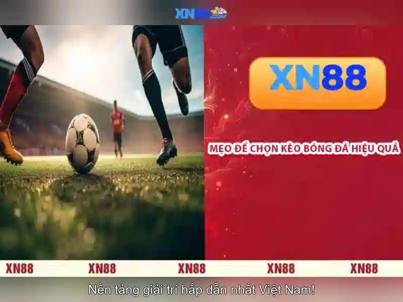 XN88 là gì?