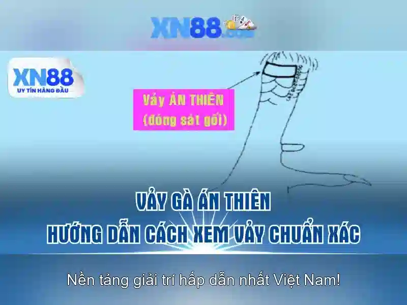 xn88: Tổng quan về nền tảng trực tuyến