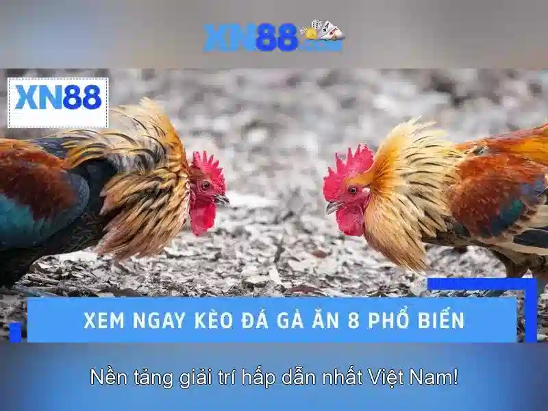Xn88: Giới thiệu và nhịp sống công nghệ