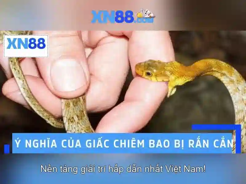xn88 và hành trình trải nghiệm cá cược trực tuyến