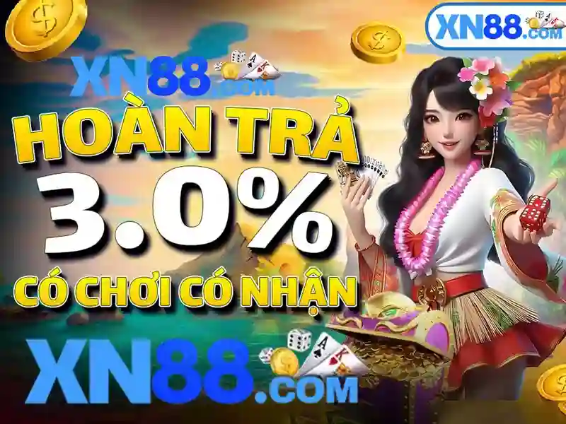 Nền tảng và giao diện