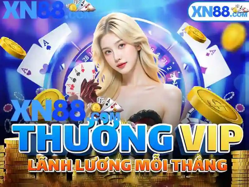 Hướng dẫn cho người mới